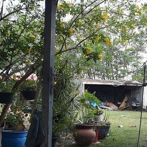 Meet your Posher, Brandy